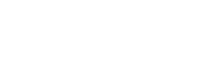 VYE New Zayed Logo